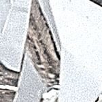 12021762_0100_10-ANEL-TIMES-TRAPEZIO