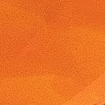 12021826_0100_10-ANEL-MISTY