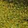 52390218_0300_10-BODY-DE-MALHA-COM-DECOTE-V-METALIZADO-VERDE