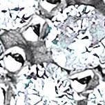 12022080_0002_10-ANEL-MOONFACE-WHITE