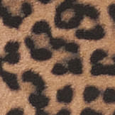 Leopardo Dorso Color