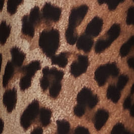 Est Leopard Dorso Color