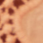 25341717_5471_10-CALCA-LAISE-DE-ALGODAO-ROSE-GOLD