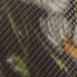 25060300_09550_10-KIT-COM-CALCINHA-ESTAMPADA-E-LISA
