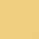 03040462_09256_10-BLAZER-CROPPED-UNO-AMARELO-NARCISO