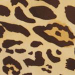 25111182_09557_10-SAIA-LONGA-COM-FENDA-LATERAL-EST-ONCA