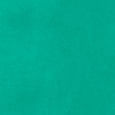 25054028_03344_10-SHORT-DE-NYLON-COM-ELASTICO-CINTURA-VERDE