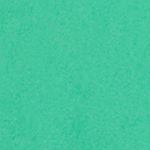 52105173_09258_10-REGATA-DE-CREPE-VERDE-FOLHA
