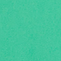 52105173_09258_10-REGATA-DE-CREPE-VERDE-FOLHA