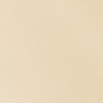 52105245_04091_10-REGATA-DE-COURO-DETALHE-LASER