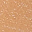 52390375_03354_10-BODY-DE-TULE-LUREX-MARROM-COM-PRATA