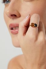 12022187_0100_4-ANEL-SIMPLE