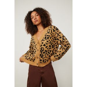 Cardigan De Tricot Com Botão Onça