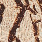 52051701_50413_10-CAMISA-DECOTE-V-COBRA-VINTAGE
