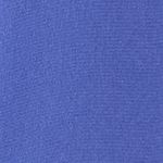 52051695_10045_10-CAMISA-SEDA-BASICA-AZUL-FUTURE