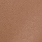 03610092_0600_10-TRENCH-COAT-DE-COURO-CLASSICO