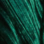 25342419_10064_10-CALCA-FLARE-VELUDO-VERDE-NOMADE