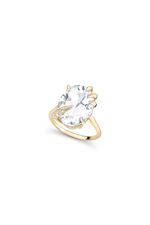 12022253_0100_1-ANEL-CLAW-WHITE