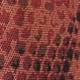 52136051_51137_10-BODY-TULE-EST-COBRA-CITY-BISCOITO