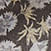 25111517_50429_10-MINI-SAIA-MAIA