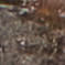 27011064_1511_10-COLAR-RELIQUIA