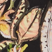 07160137_52564_10-CHEMISE-SEDA-FLORAL-MATA-DONCA