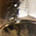 27031444_1100_10-ARGOLA-CRAVEJADA-NIQUEL