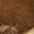 27011071_1511_10-COLAR-LENCO-FORMAS