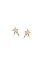 12042368_0100_1-BRINCO-DIX-ESTRELA