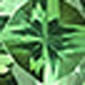 12042380_0100_10-BRINCO-ART-DECO-LONGO