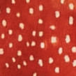 07207895_52839_10-VESTIDO-SEDA-MINI-POIS-OASIS-COLOR