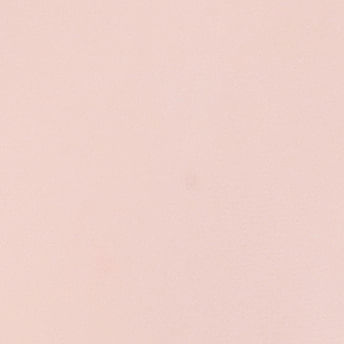 Rosa Clarinho 14-1909 Tcx