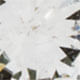 12040227_0100_10-BRINCO-SPOT-C--DIAMANTE